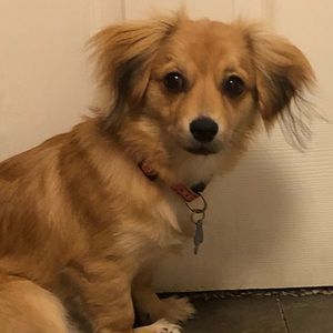 Meet your Posher, Emma